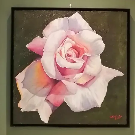 Dimora Della Posta Gasthof Mondovì